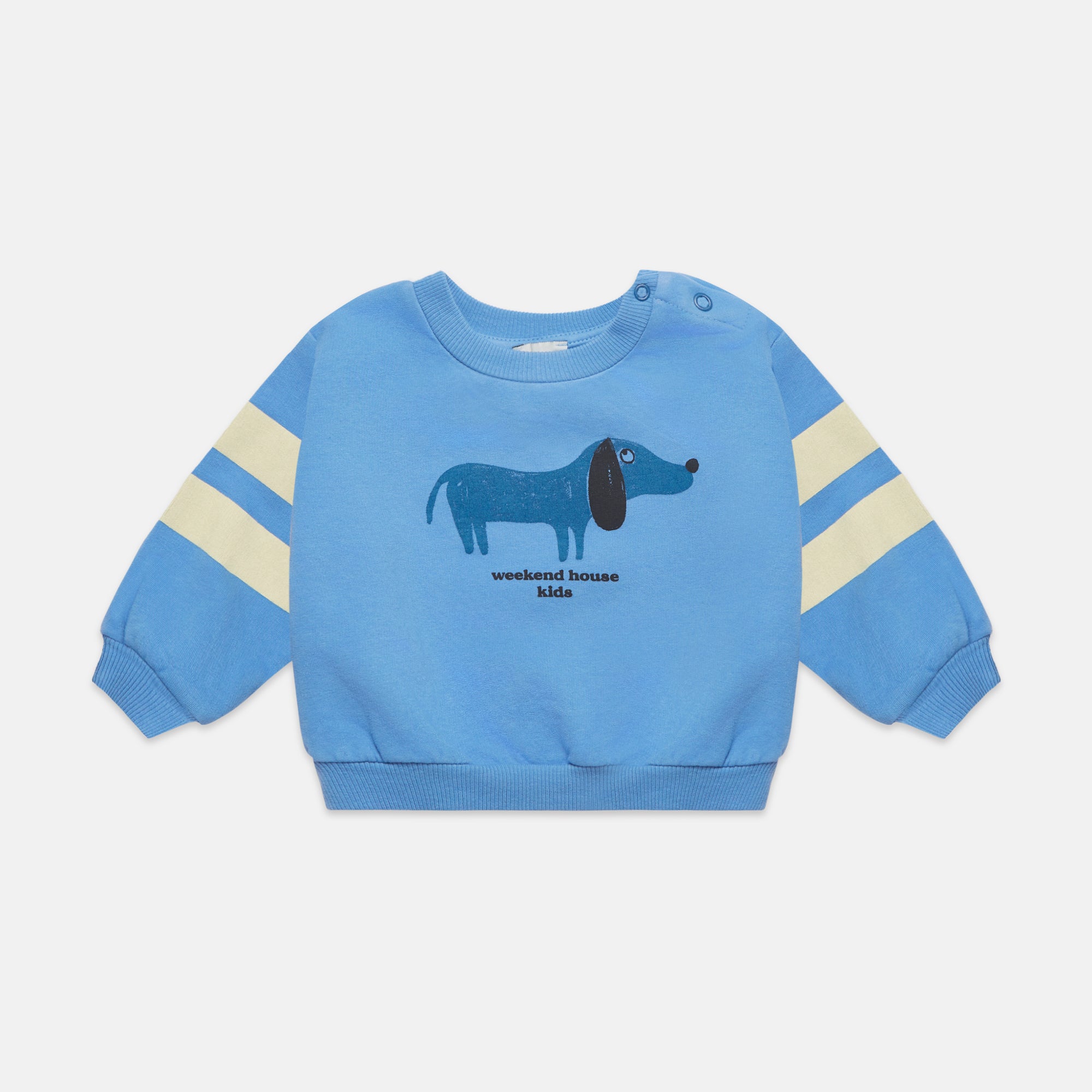 Sudadera Teckel Azul
