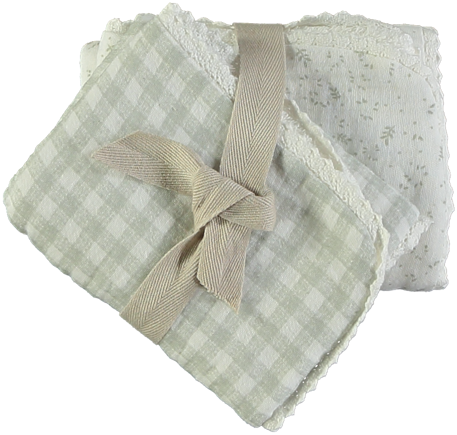 Pack 2 toallitas lactancia Bliss Toscana