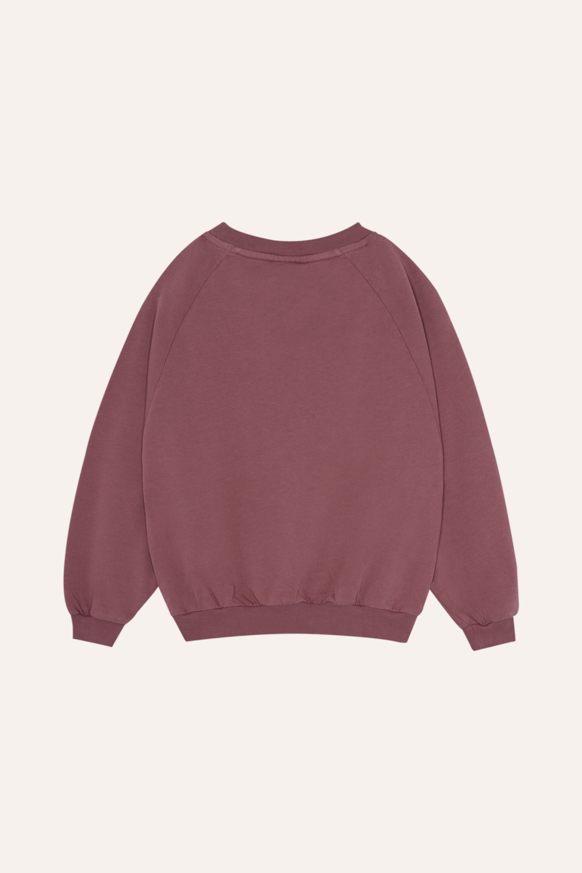 Sudadera Purple Washed