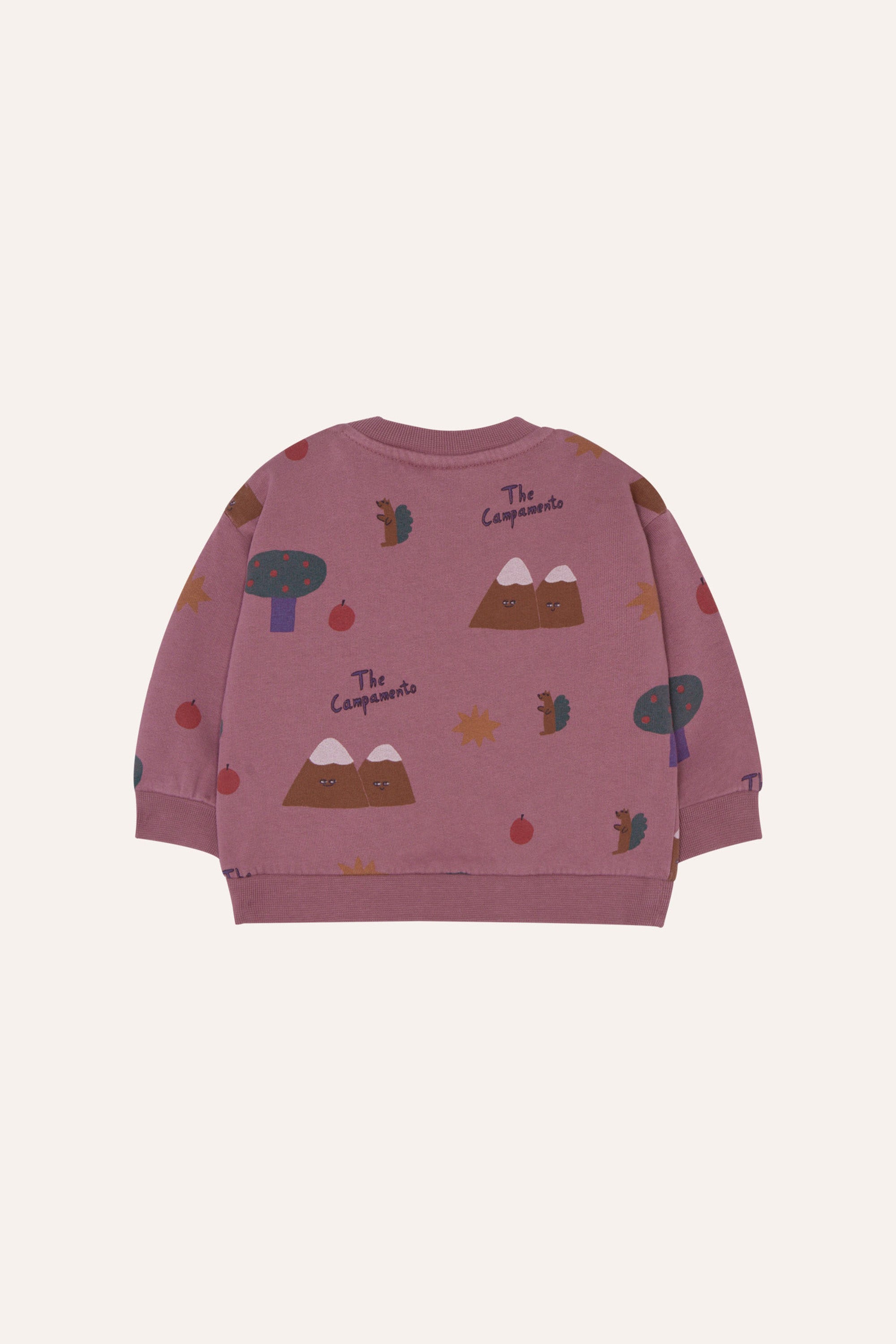 Sudadera Mountains Purple Baby